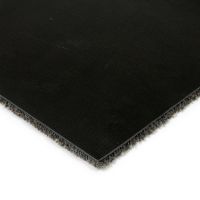 Šedá kobercová čisticí zóna FLOMA Cleopatra Extra (Bfl-S1) - délka 200 cm, šířka 200 cm, výška 0,9 cm