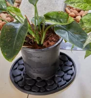 Gumová podložka pod květináč FLOMA Stones - průměr 30 cm