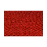 Červená textilní vstupní rohož FLOMA Perla - délka 100 cm, šířka 200 cm, výška 1,1 cm