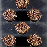 Hliníková kartáčová venkovní vstupní rohož FLOMA Alu Extra (Cfl-S2) - délka 100 cm, šířka 100 cm, výška 1,7 cm