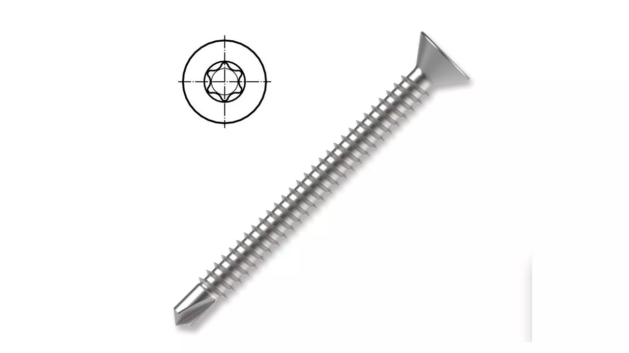 Vrut samovrtný TORX 7504P-zápustná hlava, zinek bílý-do plechu