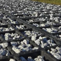 Černá plastová zátěžová zatravňovací dlažba FLOMA HydroG - délka 80 cm, šířka 40 cm, výška 6,5 cm