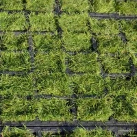 Černá plastová zátěžová zatravňovací dlažba FLOMA HydroG PRO - délka 100 cm, šířka 50 cm, výška 6,5 cm