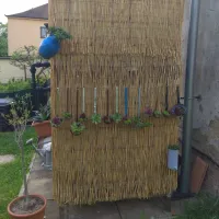 Rákosová stínicí rohož "úzký rákos" - délka 500 cm, výška 150 cm