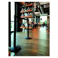 Stříbrný chromovaný sloupek - délka 250 cm, výška 101,6 cm