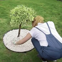 Černý plastový zahradní obrubník - délka 480 cm, šířka 8,4 cm, výška 4,5 cm