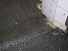 Plastová hladká interierová podlahová deska FLOMA RePVC T617 - délka 120 cm, šířka 80 cm, výška 1,2 cm