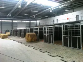 Plastová plná zesílená interierová podlahová deska FLOMA RePVC T609Z - délka 80 cm, šířka 60 cm, výška 2,2 cm