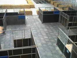 Plastová plná zesílená interierová podlahová deska FLOMA RePVC T609Z - délka 80 cm, šířka 60 cm, výška 2,2 cm