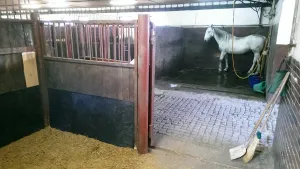 Plastová hladká stájová podlahová deska FLOMA RePVC T618 - délka 120 cm, šířka 80 cm, výška 1,2 cm