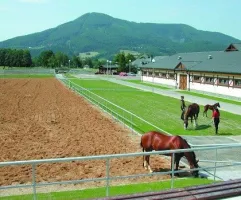 Plastová podlahová deska FLOMA Paddock RePVC T613 - délka 120 cm, šířka 80 cm, výška 4,3 cm