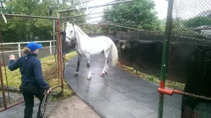 Plastová zátěžová podlahová deska FLOMA RePVC T603 - délka 80 cm, šířka 60 cm, výška 4,3 cm