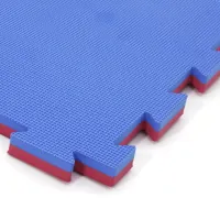 Červeno-modré oboustranné puzzle modulové tatami SPARTAN SPORT - délka 100 cm, šířka 100 cm, výška 2 cm Červeno-modré oboustranné puzzle modulové tatami SPARTAN SPORT - délka 100 cm, šířka 100 cm, výška 2 cm