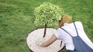 Černý plastový zahradní obrubník GC25 - délka 800 cm, šířka 8,4 cm, výška 4,5 cm