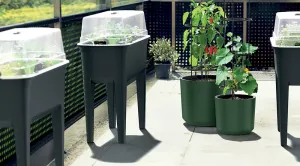 Černý plastový zahradní sadbovač GH76 - délka 77,5 cm, šířka 37,8 cm Černý plastový zahradní sadbovač GH76 - délka 77,5 cm, šířka 37,8 cm