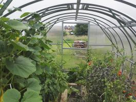 Zahradní skleník z polykarbonátu Gardentec Classic