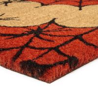 Kokosová venkovní čisticí vstupní rohož FLOMA Spiders - délka 45 cm, šířka 75 cm, výška 1,7 cm