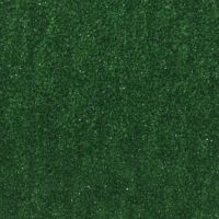 Zelená náhradní protiskluzová podlahová páska pro hliníkové nášlapy FLOMA Standard - délka 63,5 cm, šířka 12 cm, tloušťka 0,7 mm