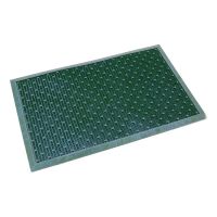 Zelená čistící venkovní vstupní rohož FLOMA Dots - délka 37 cm, šířka 60 cm a výška 1,8 cm