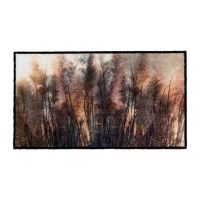 Vnitřní čistící pratelná vstupní rohož FLOMA Fusion Dry Grass - 67 x 120 x 0,7 cm