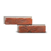 Cihlový obklad se spárou TONO 2 červená 370/140/20mm beton bal. 0,42m2 Steinblau