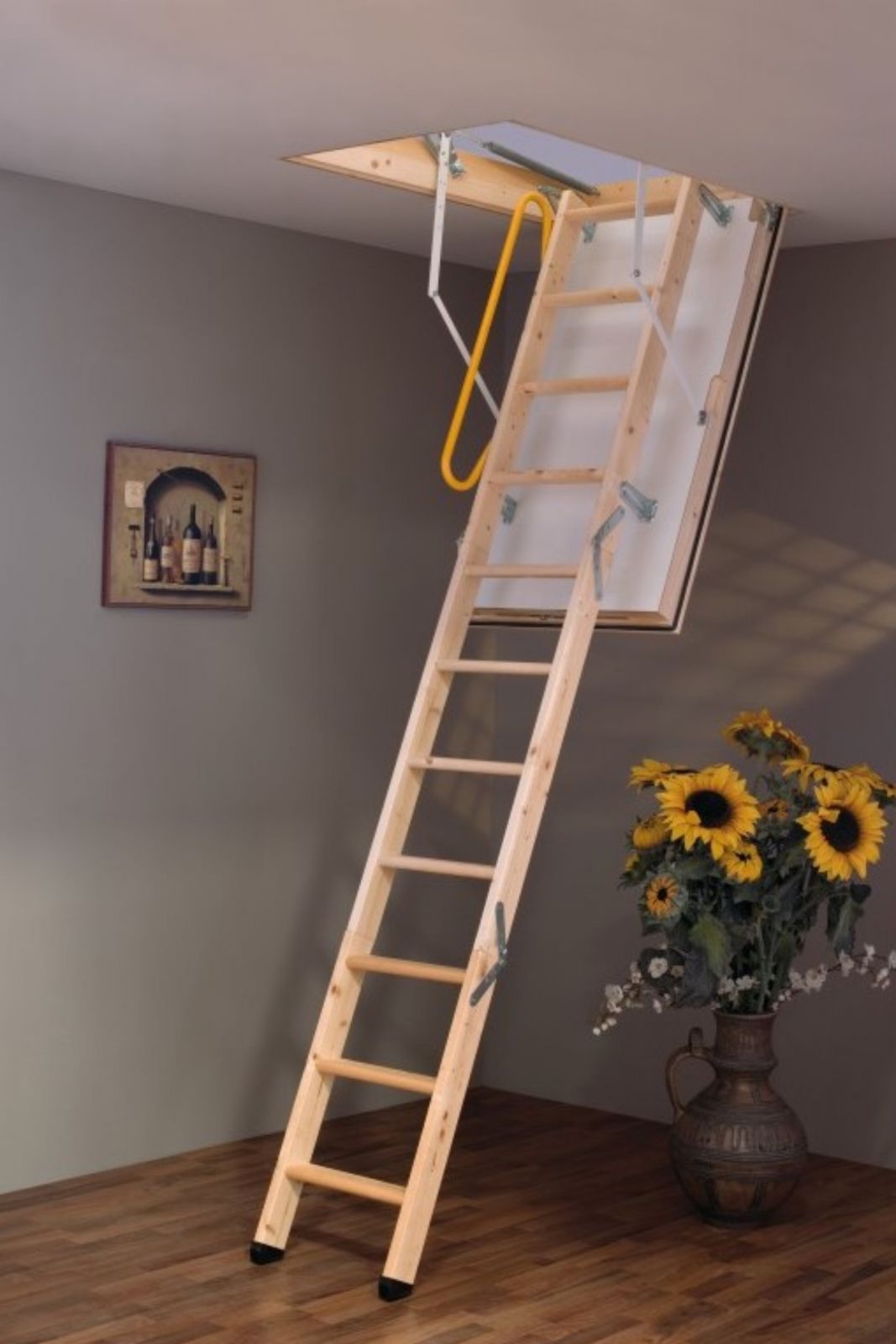 Půdní schody Mini Polar Extreme 90x70 H265 Minka
