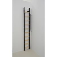 Žebřík Strong Step - 10 příček