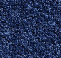 Modrá vnitřní čistící vstupní rohož FLOMA Future - délka 60 cm, šířka 90 cm a výška 0,5 cm