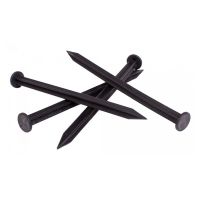 Černý plastový kotvicí hřeb Eco - průměr 1,4 cm, délka 25 cm