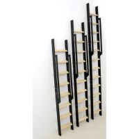 Žebřík Strong Step - 12 příček Minka